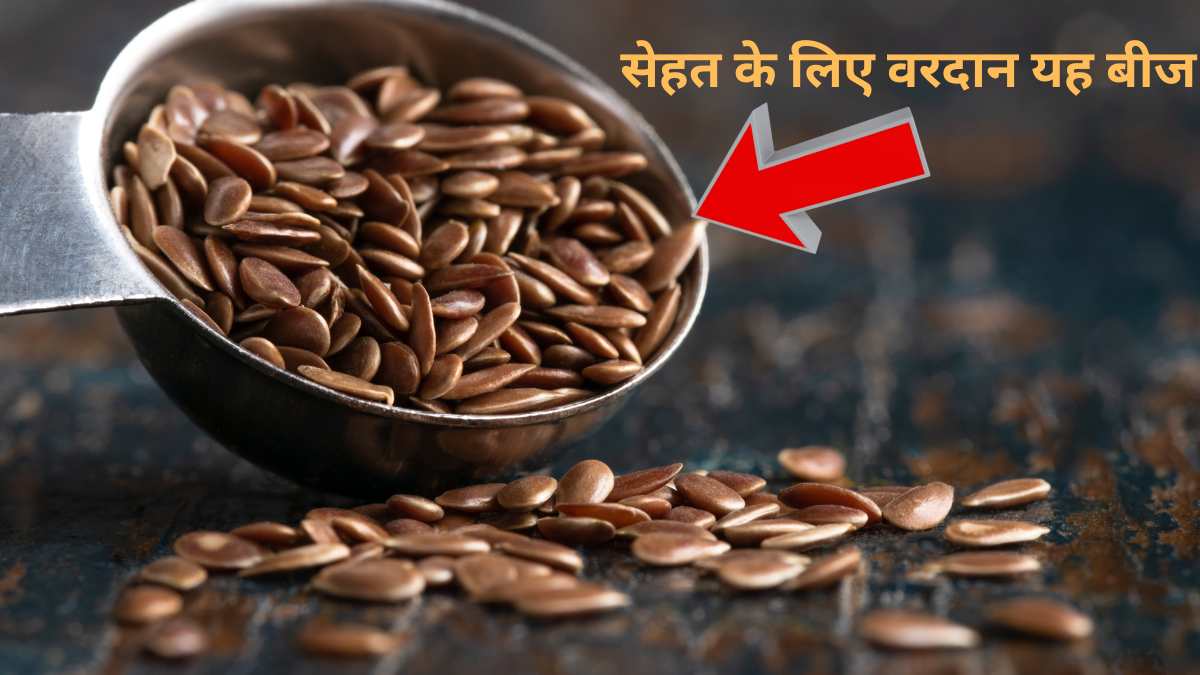 सेहत के लिए वरदान से कम नहीं हैं अलसी के बीज, एक दिन में कितनी मात्रा में करें सेवन?