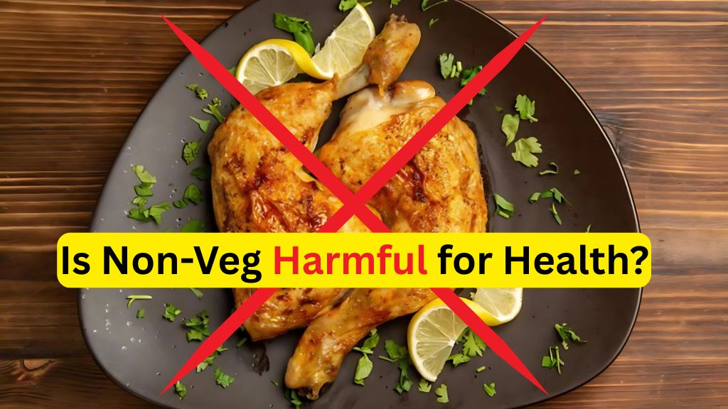 Is Non-Veg Harmful for Health?