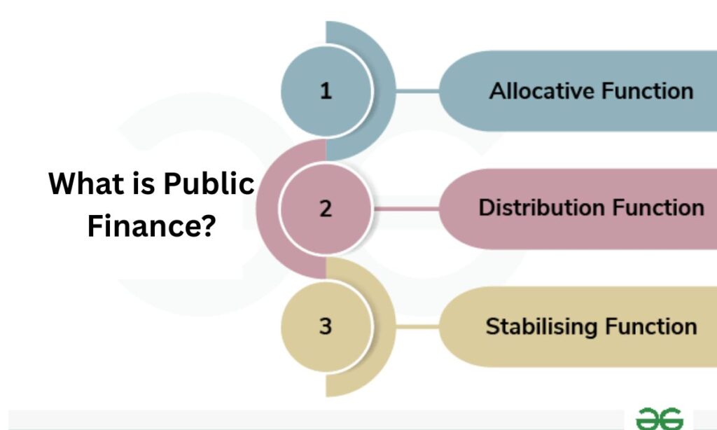 What is Public Finance?